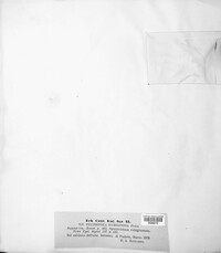 Botryobasidium rubiginosum image
